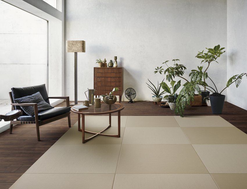 Calm modern living room design direction